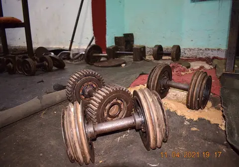 Haltères 2x10 kg