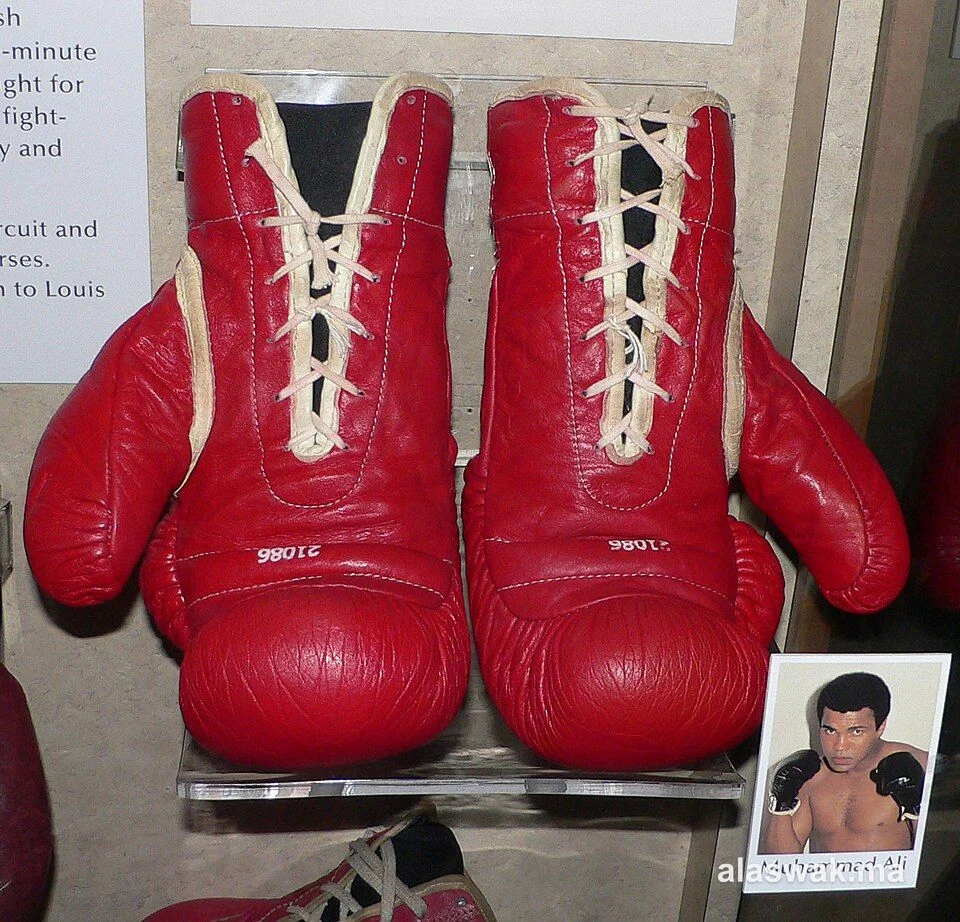 Gants de boxe 12 oz cuir