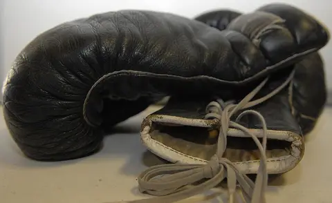 Gants de boxe 10 oz Everlast