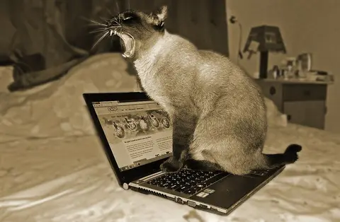 Ordinateur portable Asus Vivobook