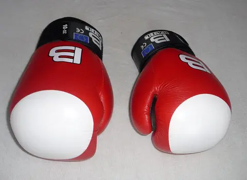 Gants de boxe 10 oz Everlast