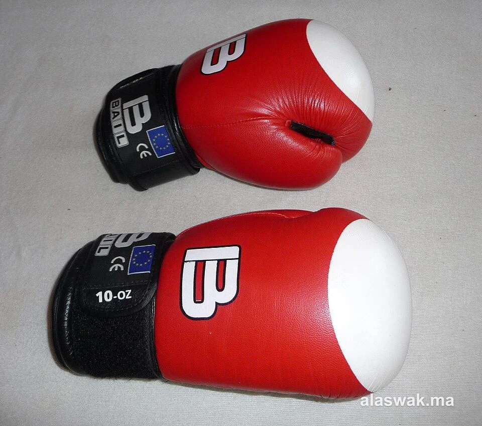 Gants de boxe 12 oz cuir