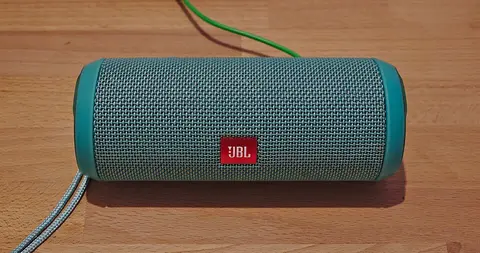Enceinte Bluetooth Sony XB13