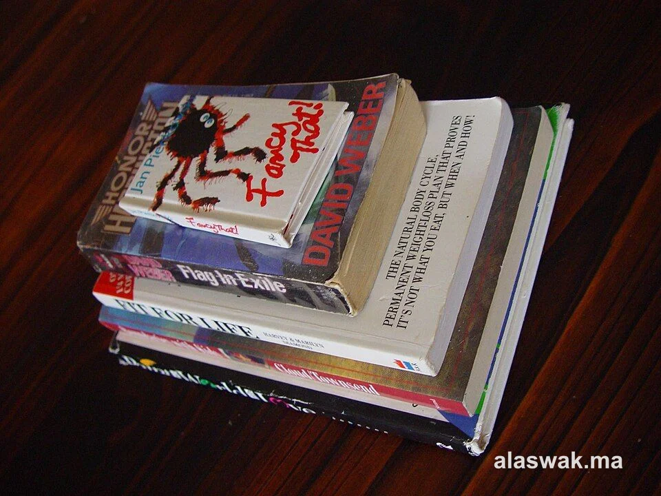 Livres lot de 10 romans