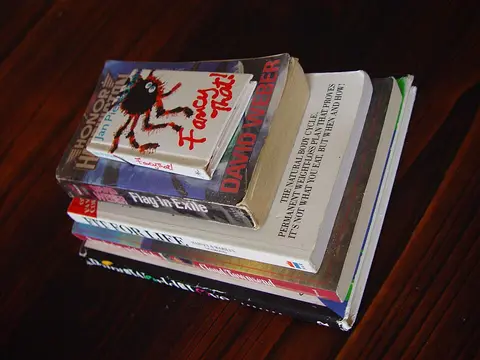 Livres lot de 10 romans