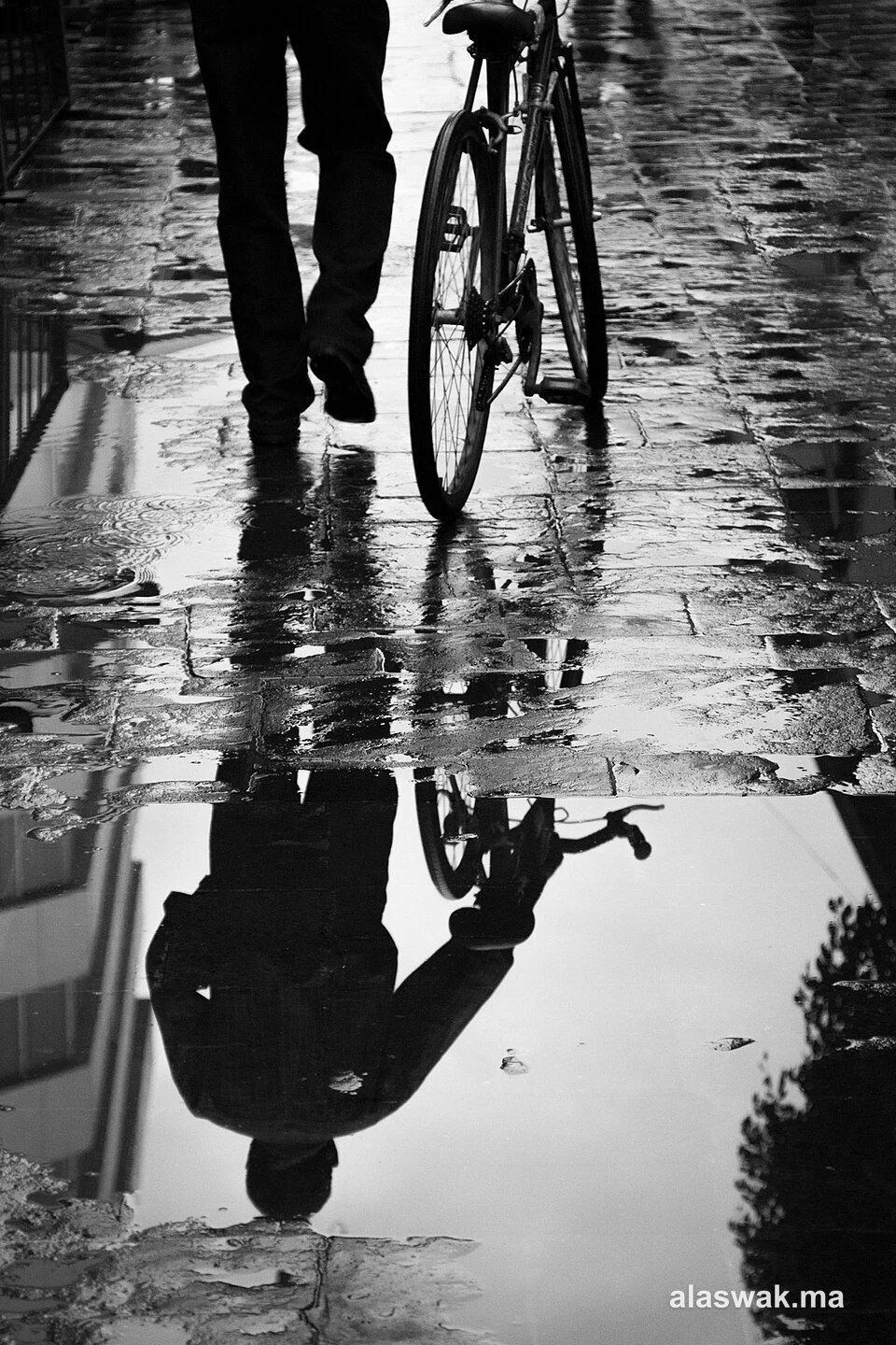 Vélo route aluminium