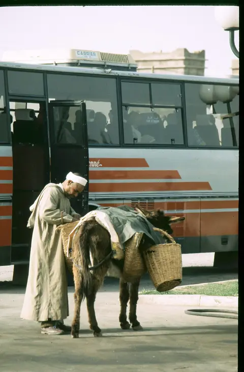 Djellaba homme laine